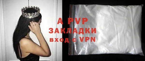 ГАЛЛЮЦИНОГЕННЫЕ ГРИБЫ Белокуриха