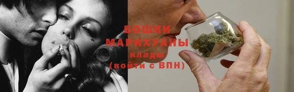 ПСИЛОЦИБИНОВЫЕ ГРИБЫ Бородино