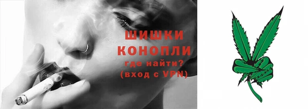 ГАЛЛЮЦИНОГЕННЫЕ ГРИБЫ Белокуриха