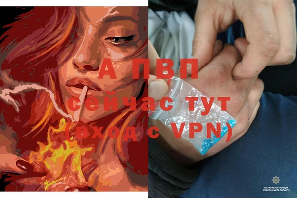 марки lsd Беломорск