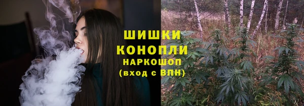 ГАЛЛЮЦИНОГЕННЫЕ ГРИБЫ Белокуриха