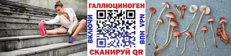 Галлюциногенные грибы мухоморы Бахчисарай